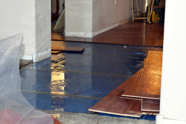 Professional Burst Pipe Cleanup technician working in Wright, WY